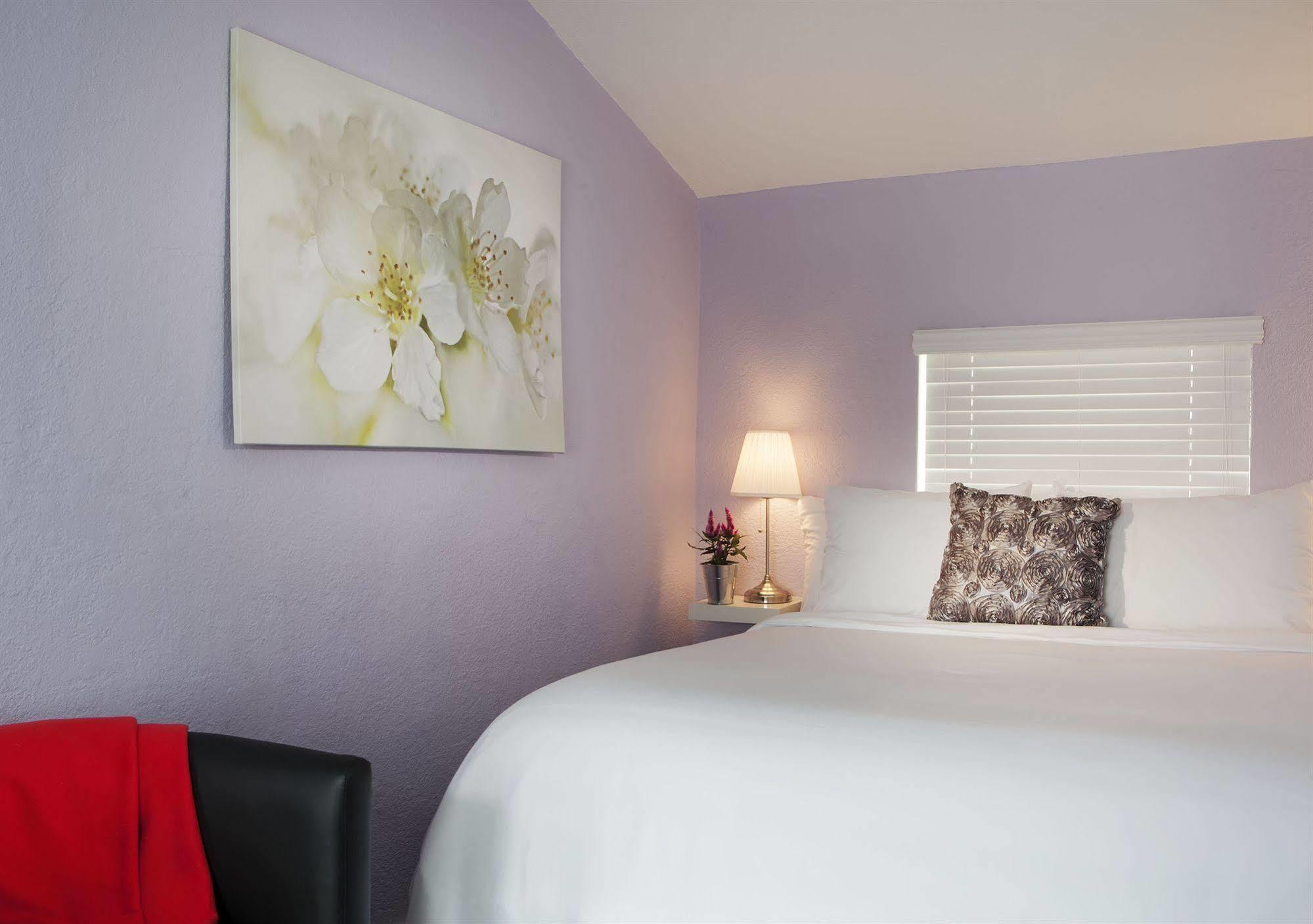 M Boutique Hotel Miami Beach Bagian luar foto
